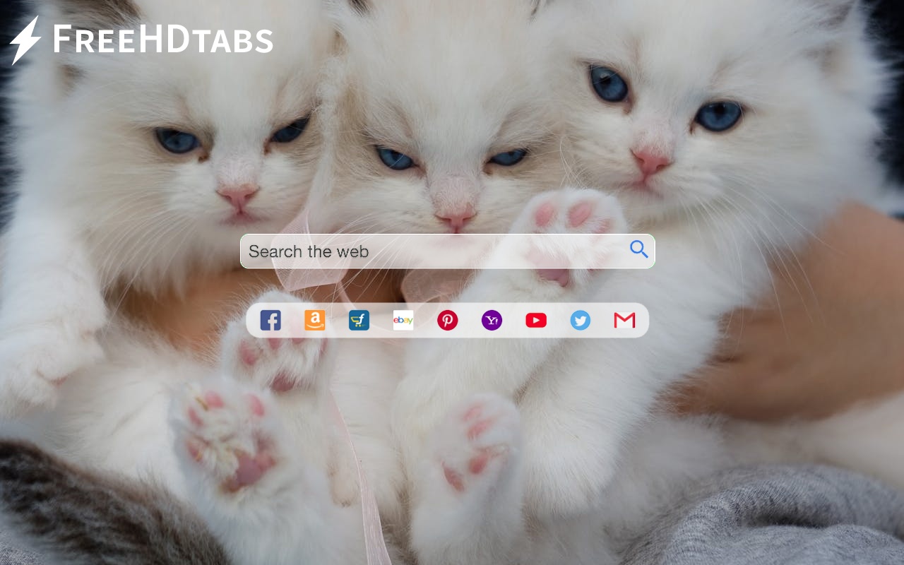 Cute Kittens chrome谷歌浏览器插件_扩展第4张截图