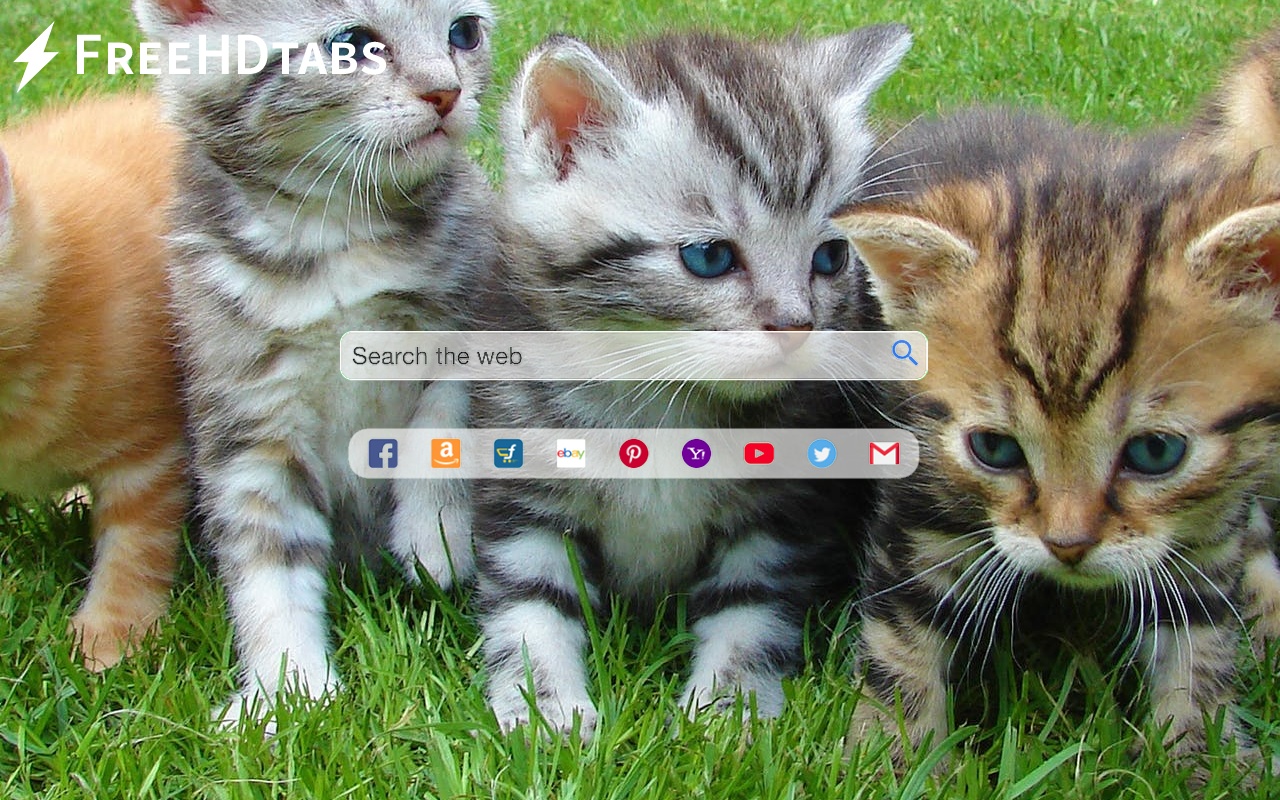Cute Kittens chrome谷歌浏览器插件_扩展第5张截图