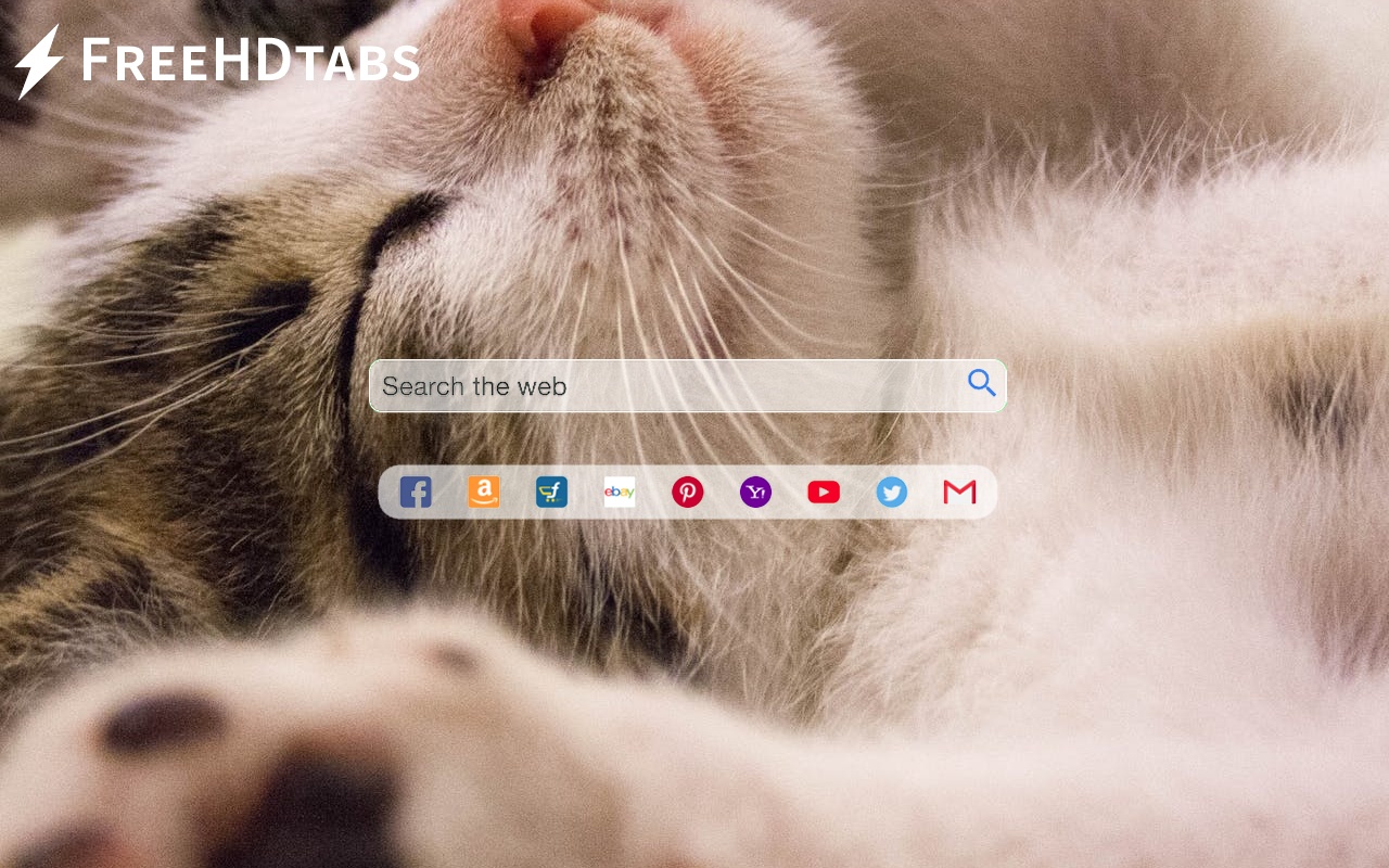Cute Kittens chrome谷歌浏览器插件_扩展第7张截图