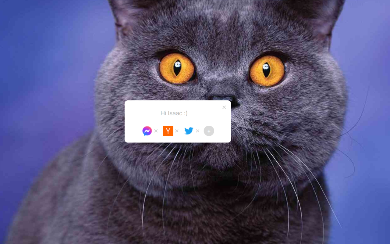 Tabby Cat - New cats with each new tab chrome谷歌浏览器插件_扩展第2张截图
