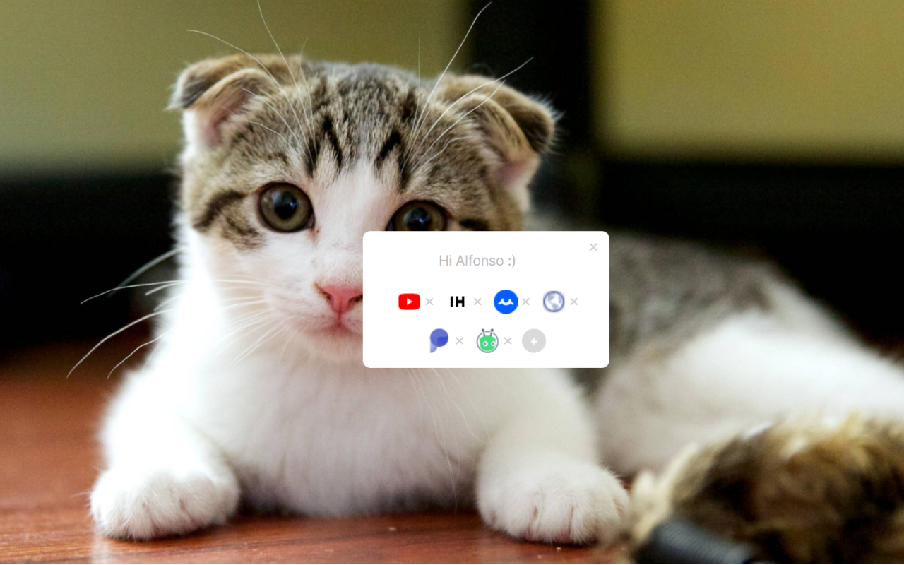 Tabby Cat - New cats with each new tab chrome谷歌浏览器插件_扩展第3张截图