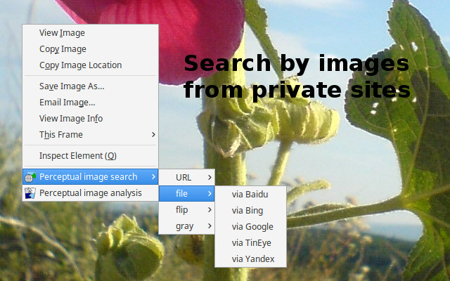 Perceptual image search chrome谷歌浏览器插件_扩展第1张截图