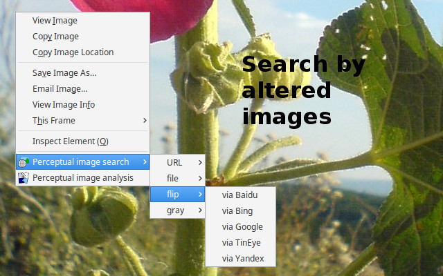 Perceptual image search chrome谷歌浏览器插件_扩展第2张截图