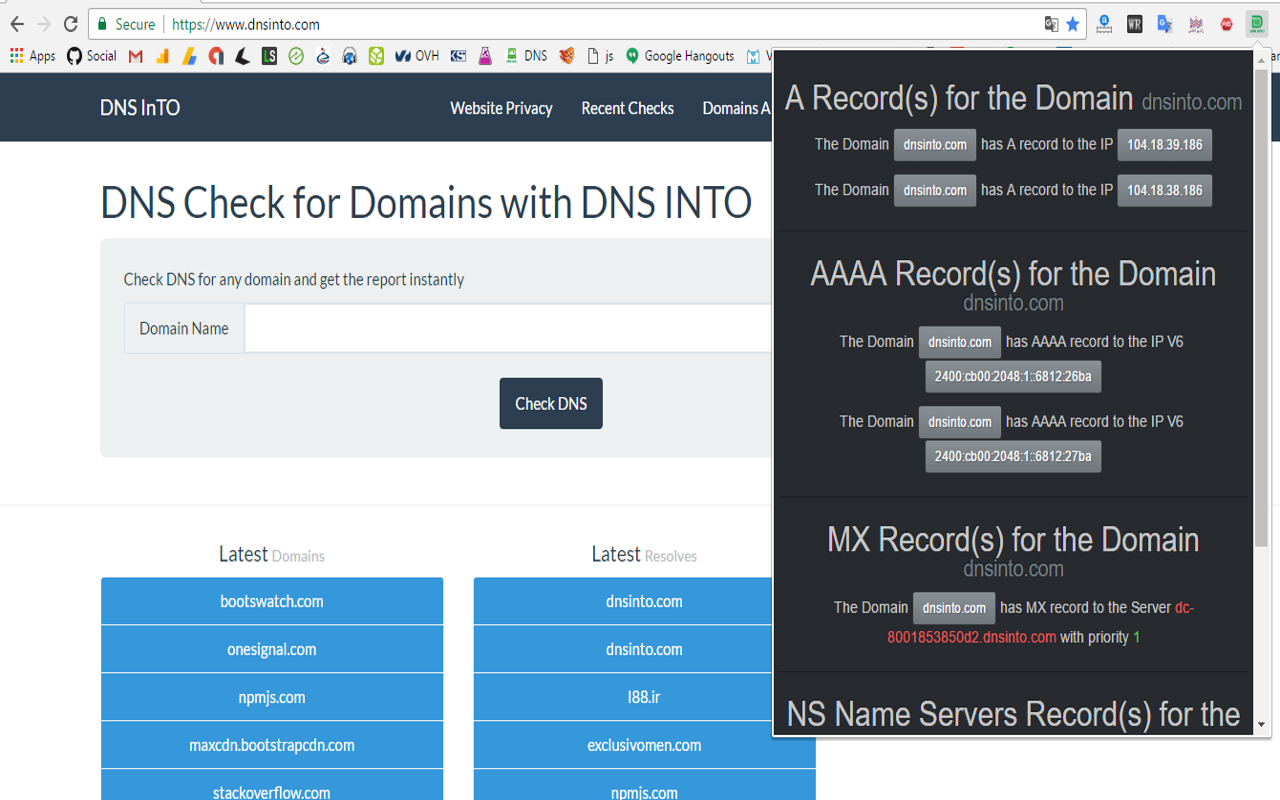 DNS Into chrome谷歌浏览器插件_扩展第1张截图