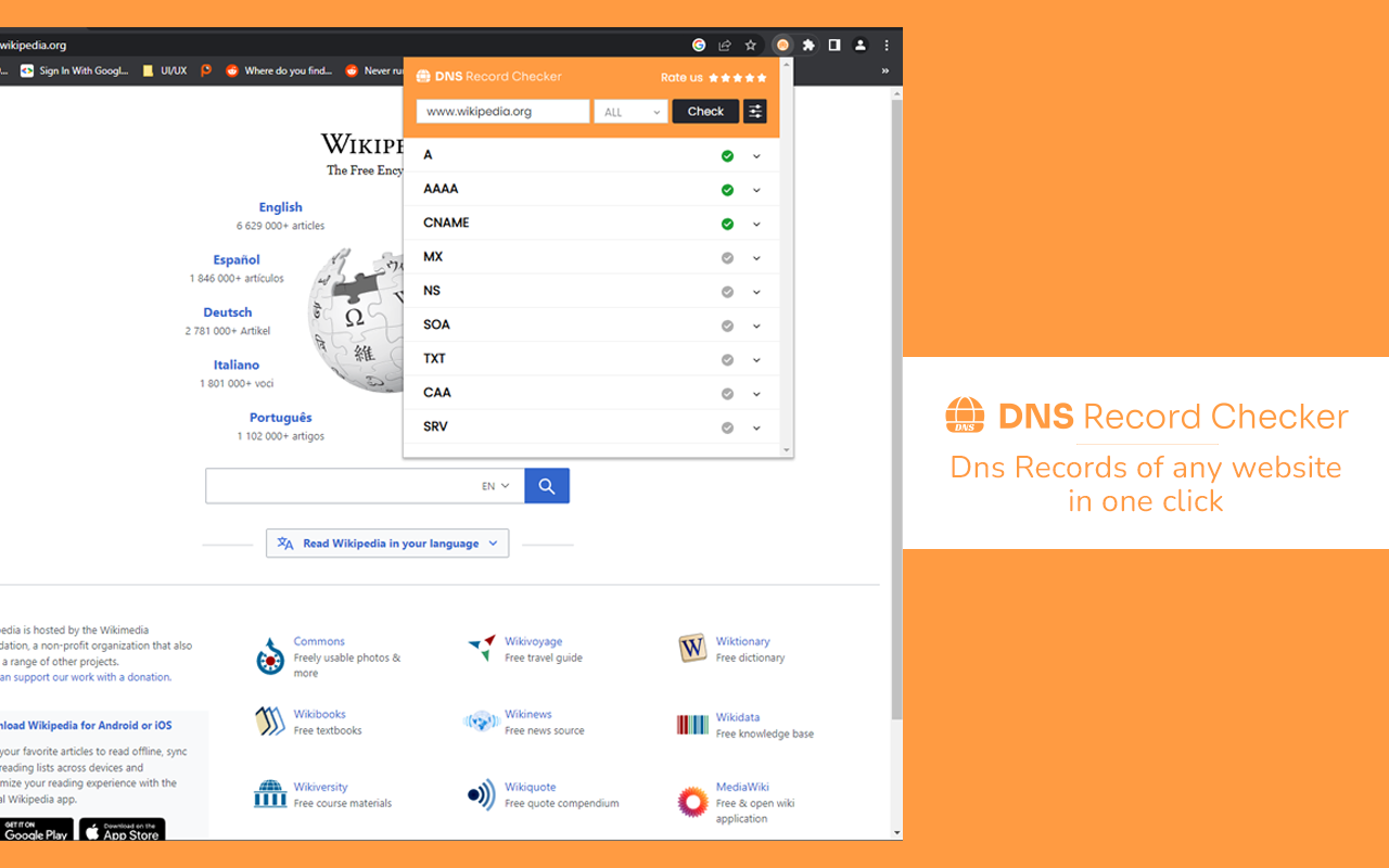 DNS记录检查器 chrome谷歌浏览器插件_扩展第1张截图