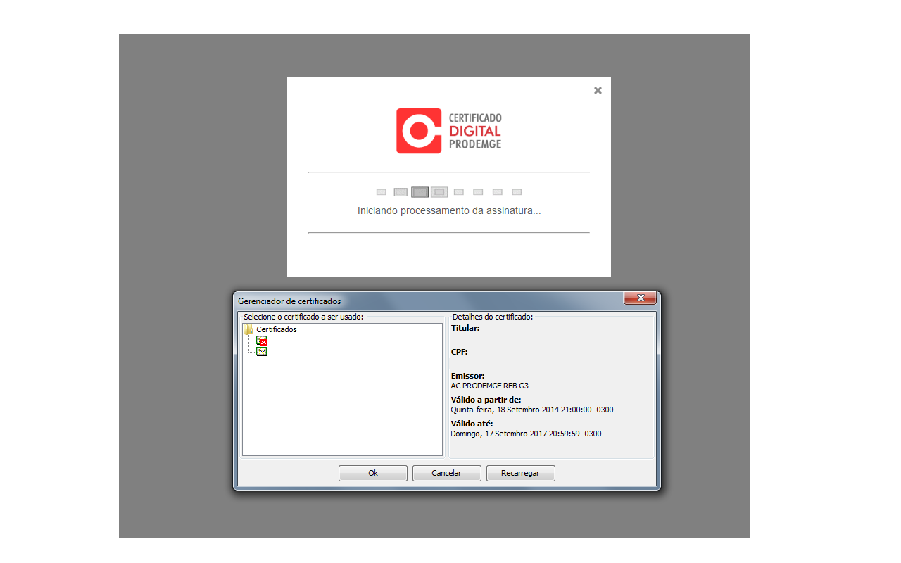 Signa - Prodemge chrome谷歌浏览器插件_扩展第1张截图