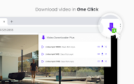 Video Downloader Plus chrome谷歌浏览器插件_扩展第5张截图