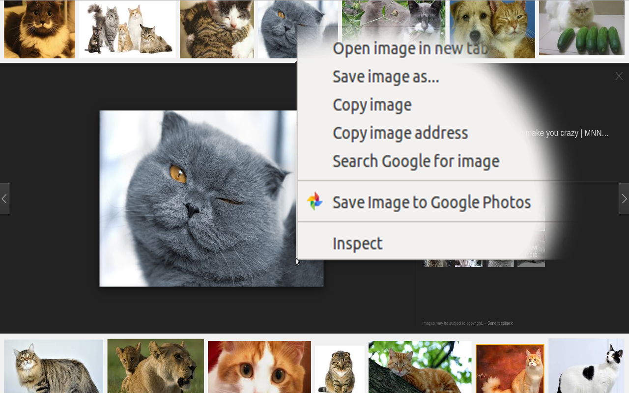 Save to Google Photos™ RE chrome谷歌浏览器插件_扩展第3张截图