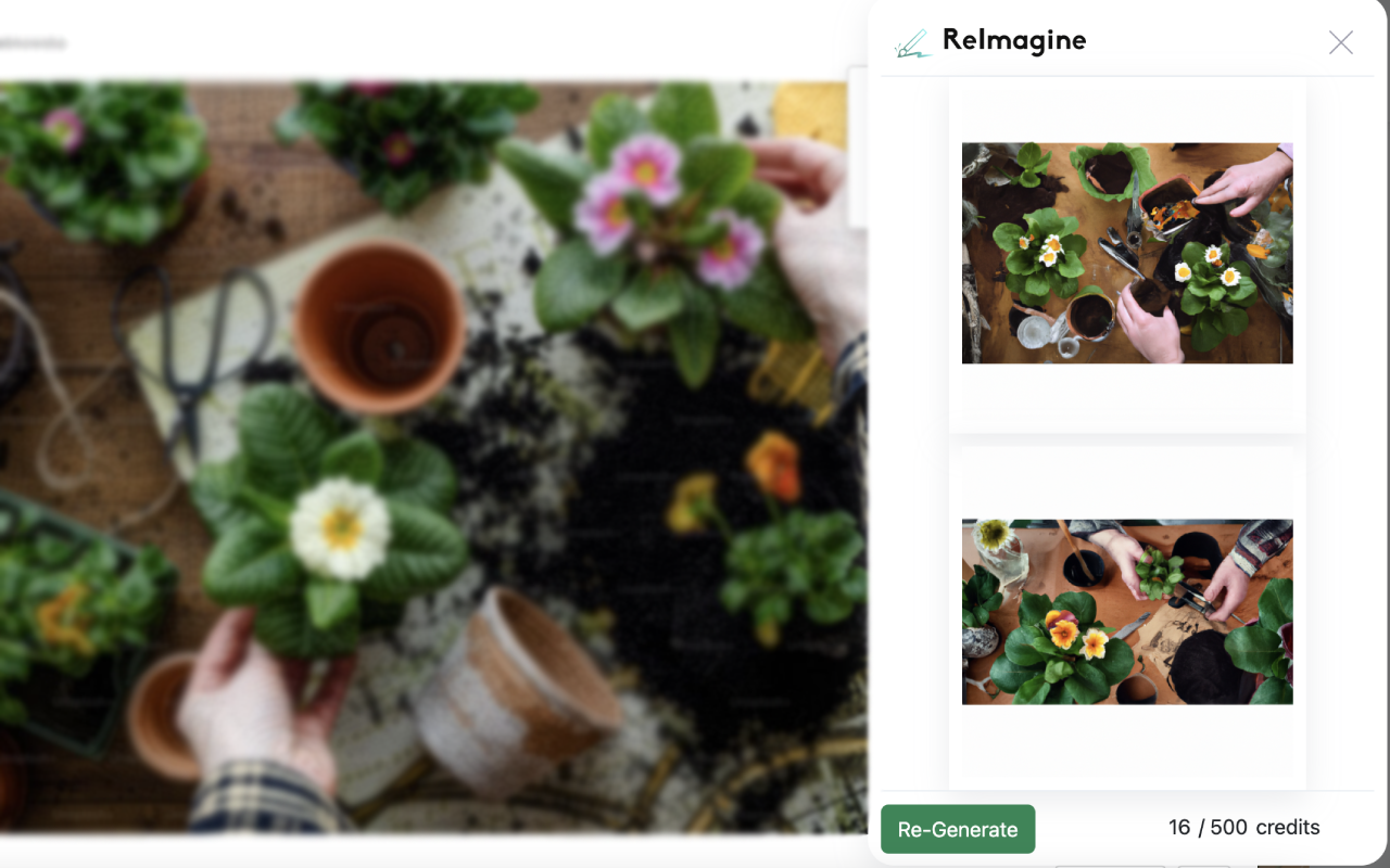 ReImagine chrome谷歌浏览器插件_扩展第1张截图