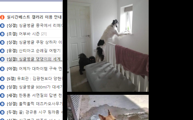 피탕메이트 chrome谷歌浏览器插件_扩展第2张截图