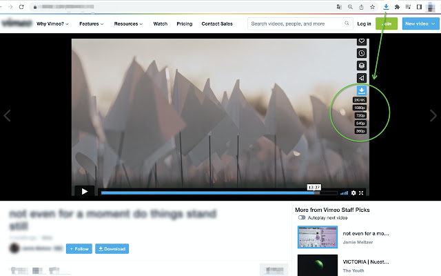 Vimeo视频下载器-专业版 chrome谷歌浏览器插件_扩展第3张截图