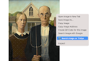 TinEye Reverse Image Search chrome谷歌浏览器插件_扩展第5张截图