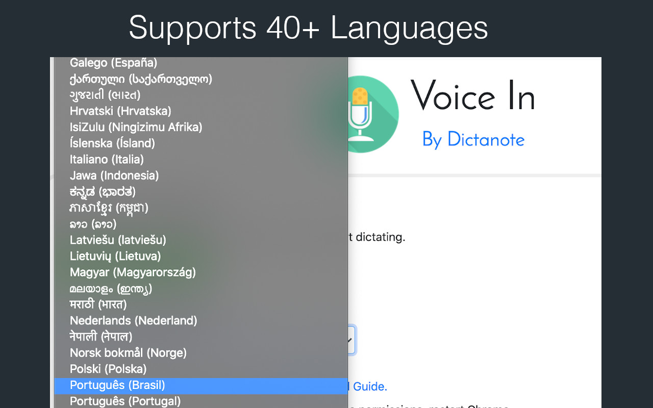 Voice In - Speech-To-Text Dictation chrome谷歌浏览器插件_扩展第2张截图