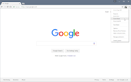 Zoom Page WE chrome谷歌浏览器插件_扩展第1张截图