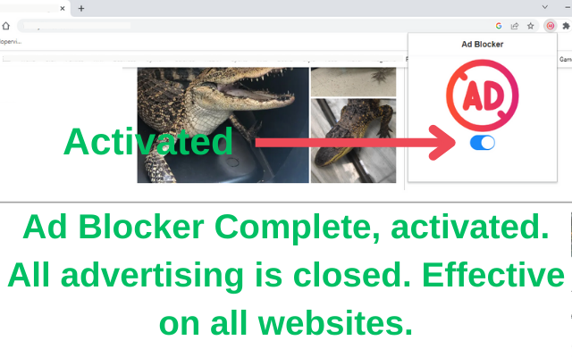 Ad Blocker 完成 chrome谷歌浏览器插件_扩展第2张截图