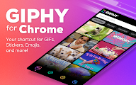 GIPHY for Chrome chrome谷歌浏览器插件_扩展第7张截图