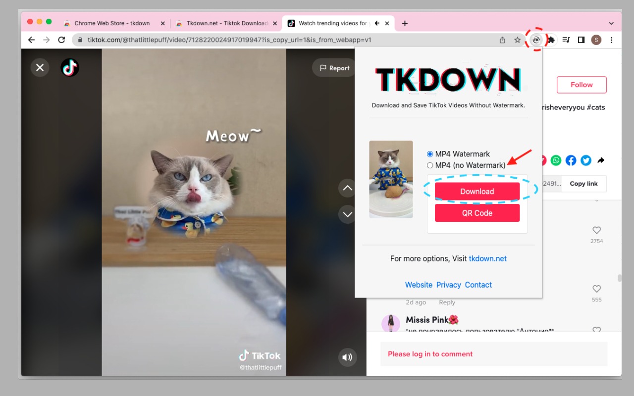 Video Downloader for Tiktok with No Watermark chrome谷歌浏览器插件_扩展第1张截图