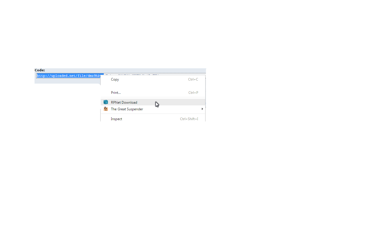 RPNet Helper chrome谷歌浏览器插件_扩展第2张截图