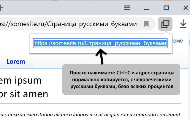 Russian Address Plugin chrome谷歌浏览器插件_扩展第1张截图