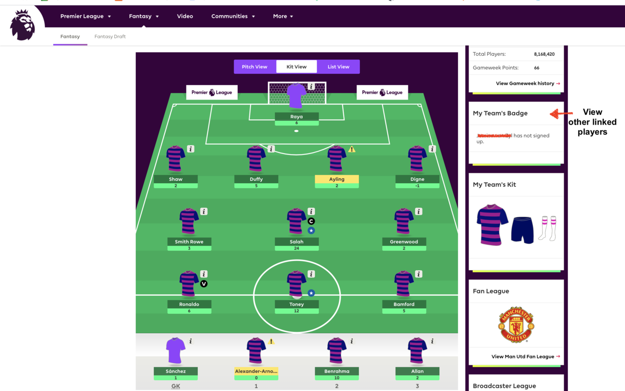 FPL Wildcard Kits chrome谷歌浏览器插件_扩展第3张截图