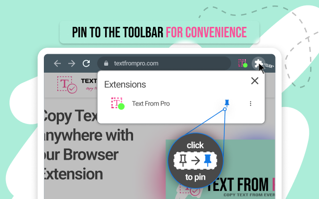 Text From PRO - 从任何地方复制文本 chrome谷歌浏览器插件_扩展第8张截图