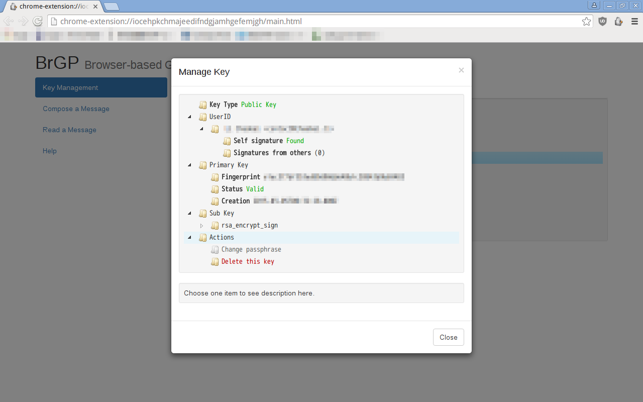 BrGP for Chrome chrome谷歌浏览器插件_扩展第3张截图