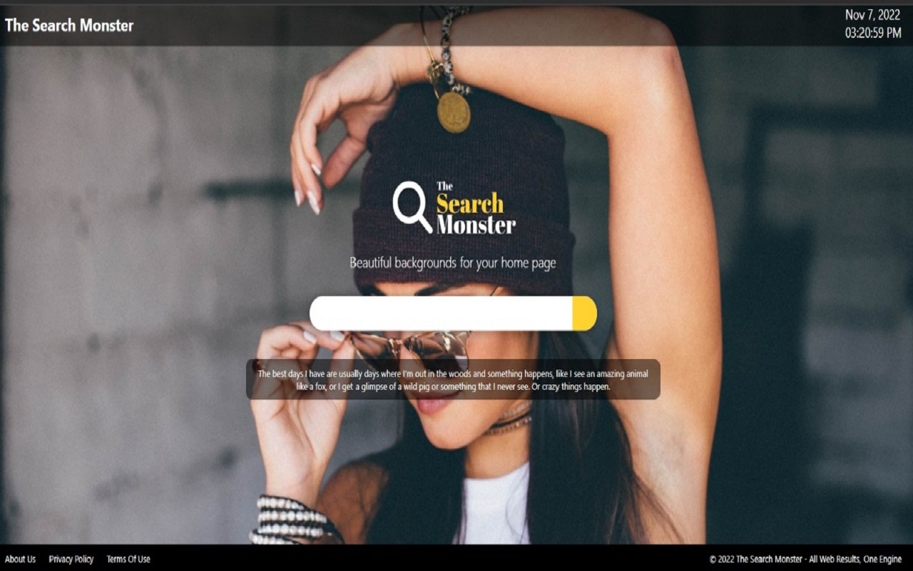 Thesearchmonster chrome谷歌浏览器插件_扩展第2张截图