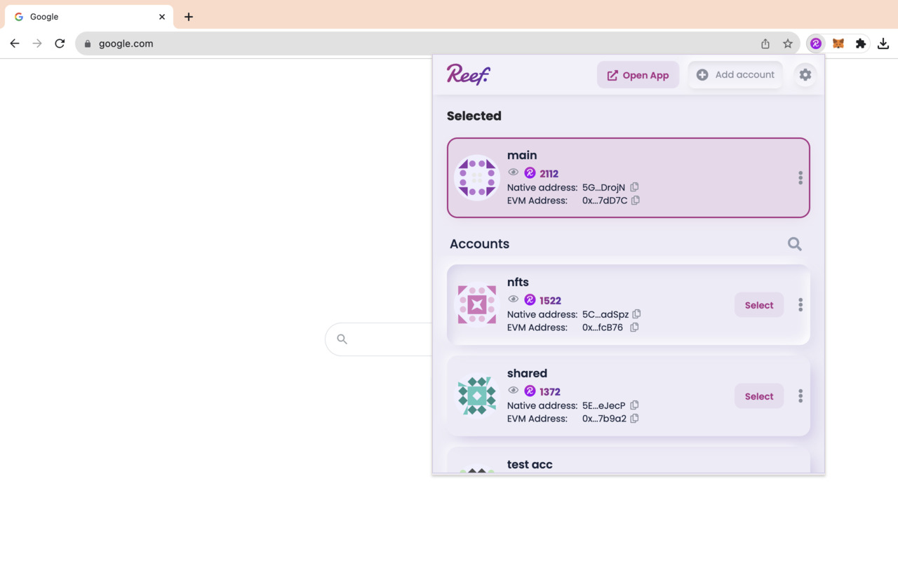Reef Chain Wallet Extension chrome谷歌浏览器插件_扩展第2张截图