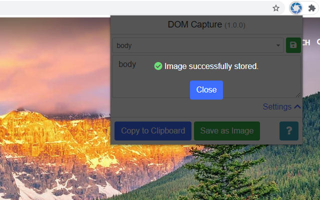 DOM Capture chrome谷歌浏览器插件_扩展第5张截图