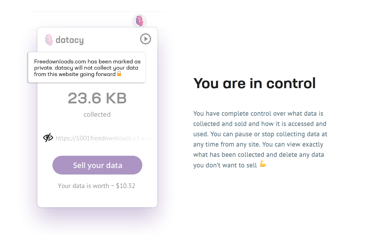 datacy chrome谷歌浏览器插件_扩展第1张截图