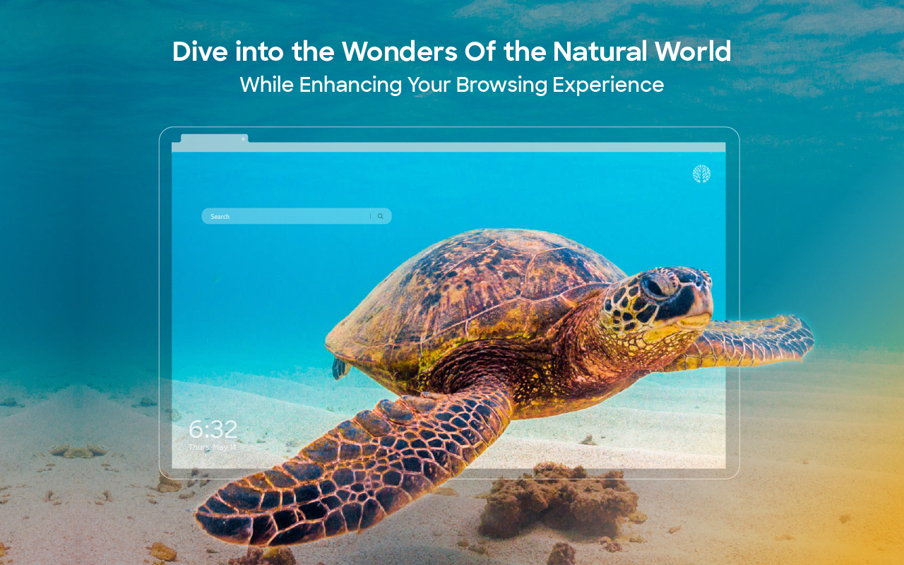 Nature Wallpapers New Tab Theme chrome谷歌浏览器插件_扩展第3张截图