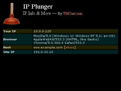 IP Plunger chrome谷歌浏览器插件_扩展第1张截图