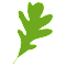 leaf browser
