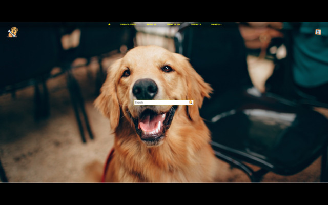 DogsFan extension chrome谷歌浏览器插件_扩展第1张截图