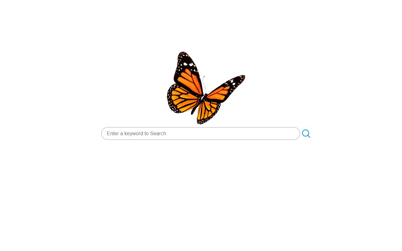 Daily Butterflies New Tab chrome谷歌浏览器插件_扩展第1张截图