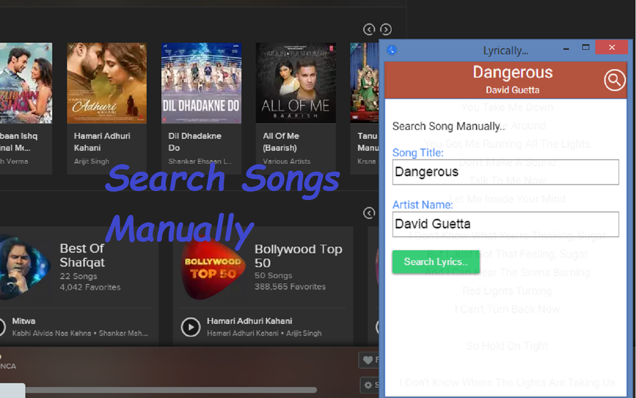 Lyrically chrome谷歌浏览器插件_扩展第3张截图