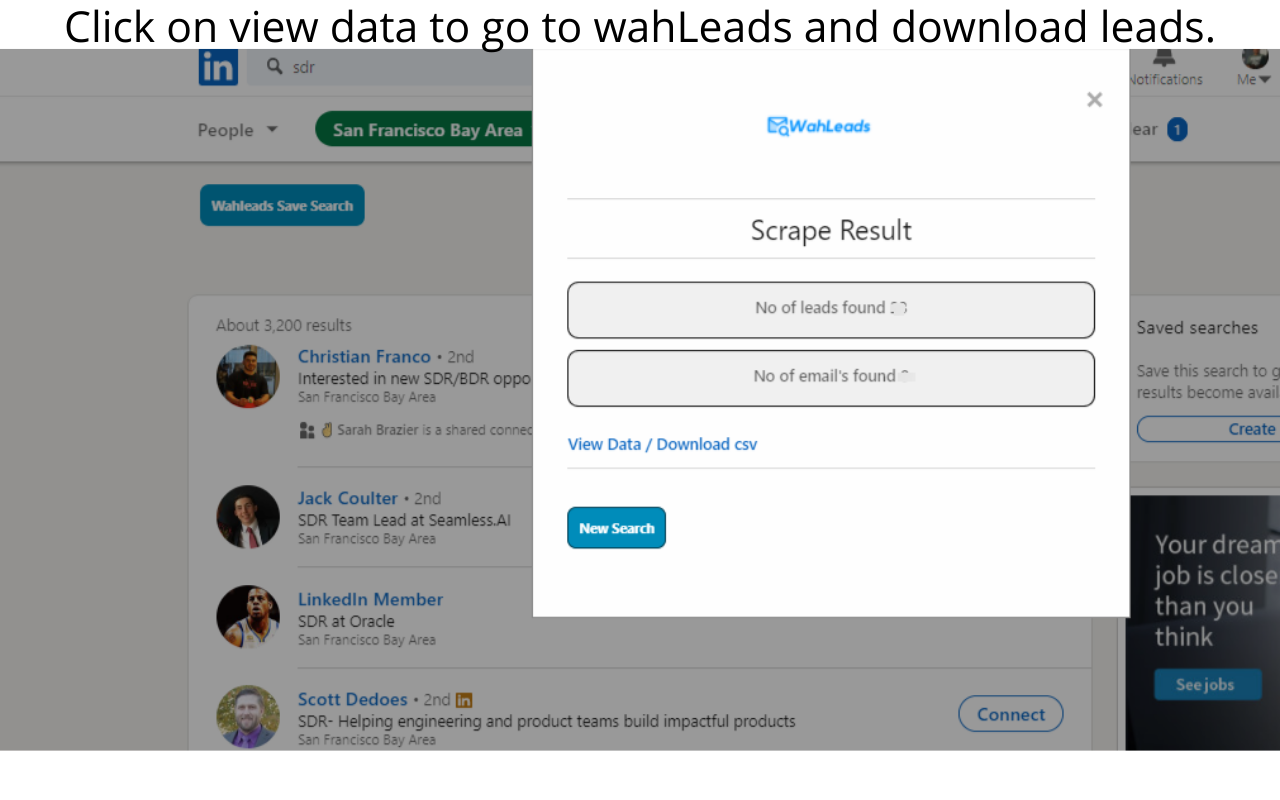 WahLeads chrome谷歌浏览器插件_扩展第4张截图
