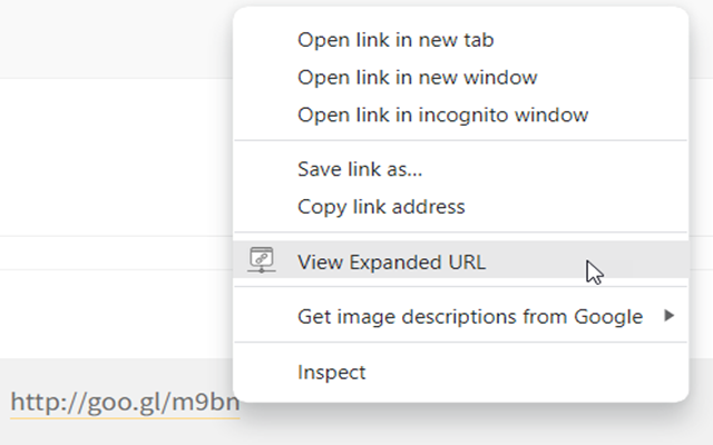 Expand URL chrome谷歌浏览器插件_扩展第1张截图