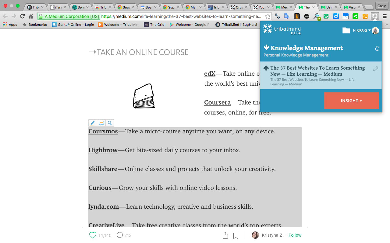 TribalMind chrome谷歌浏览器插件_扩展第4张截图