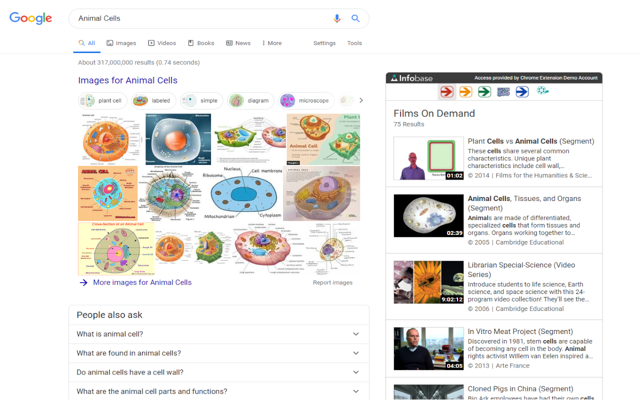 Infobase chrome谷歌浏览器插件_扩展第3张截图