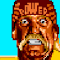 WWF WrestleFest