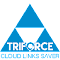 Triforce: Cloud Links Saver