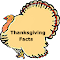 Thanksgiving & Turkey