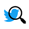Instant search on Twitter