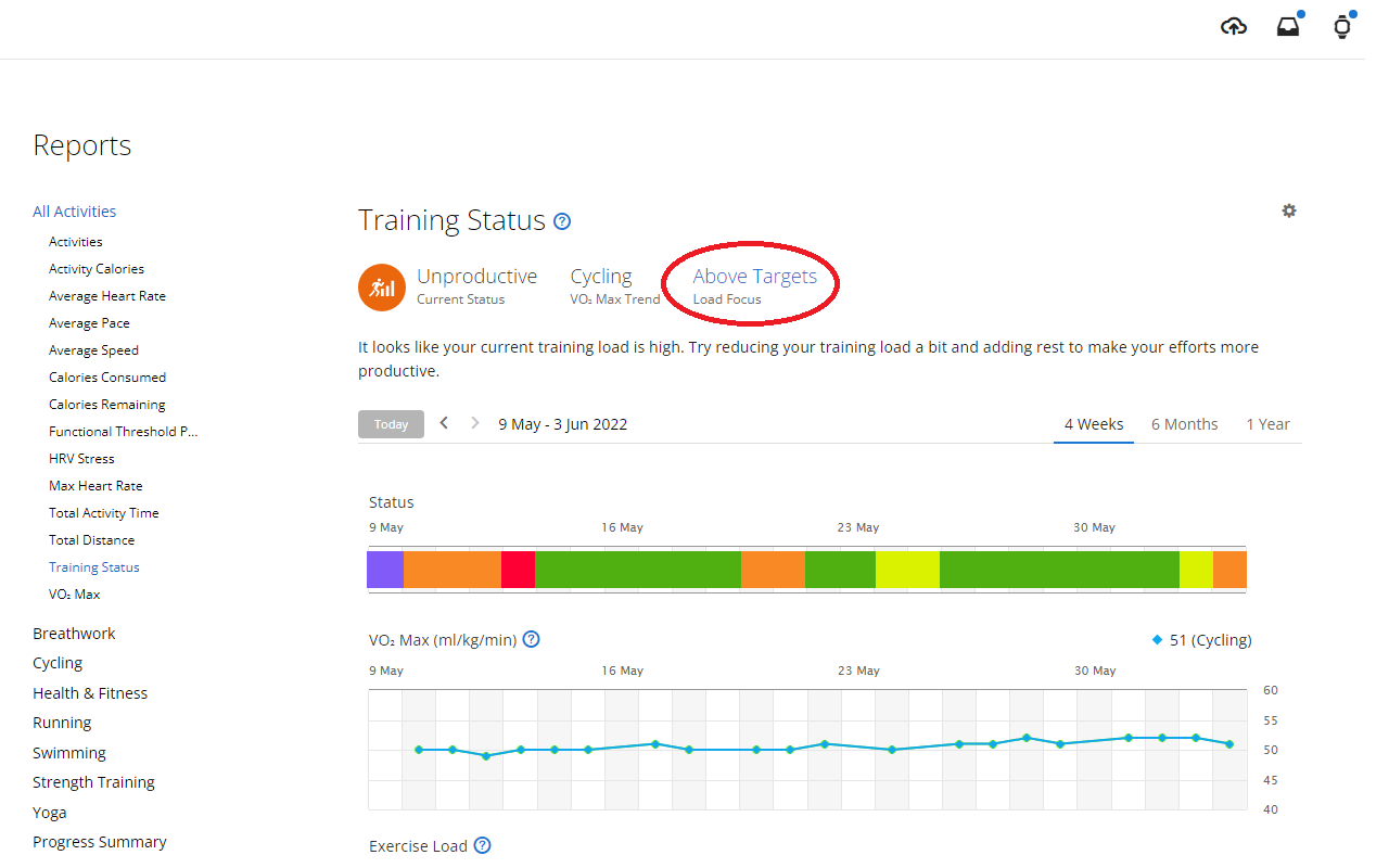 Garmin Connect Web Missing LoadFocus Fixer chrome谷歌浏览器插件_扩展第1张截图