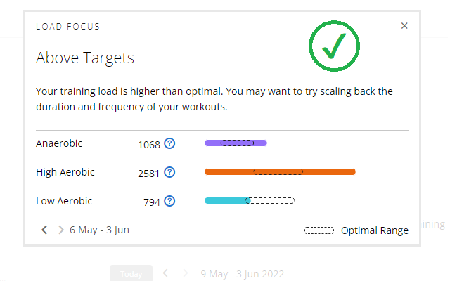 Garmin Connect Web Missing LoadFocus Fixer chrome谷歌浏览器插件_扩展第2张截图