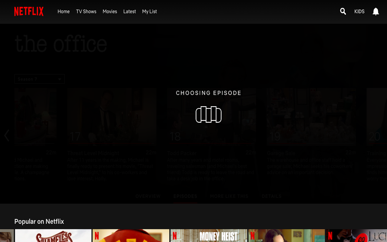 Randflix - Random Episodes For Netflix chrome谷歌浏览器插件_扩展第1张截图