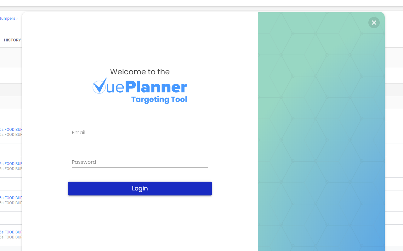 VuePlanner Targeting Import chrome谷歌浏览器插件_扩展第1张截图