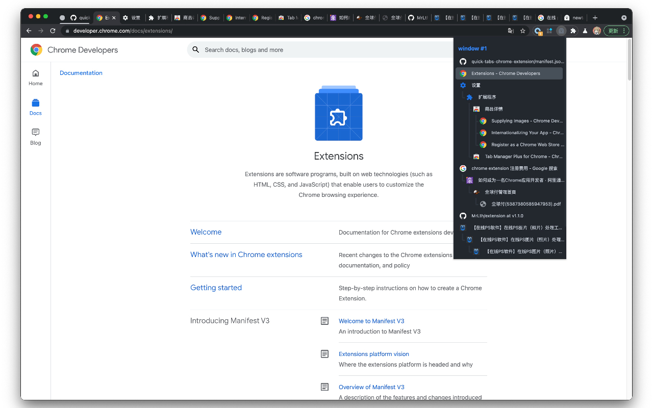 Ghost Tabs Manager chrome谷歌浏览器插件_扩展第4张截图