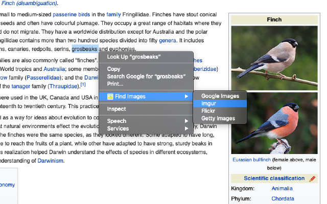 Find Images chrome谷歌浏览器插件_扩展第1张截图